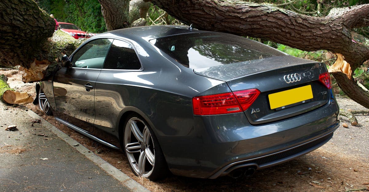 Cover Image for Comprehensive Insurance for New Car Owners: What to Know First