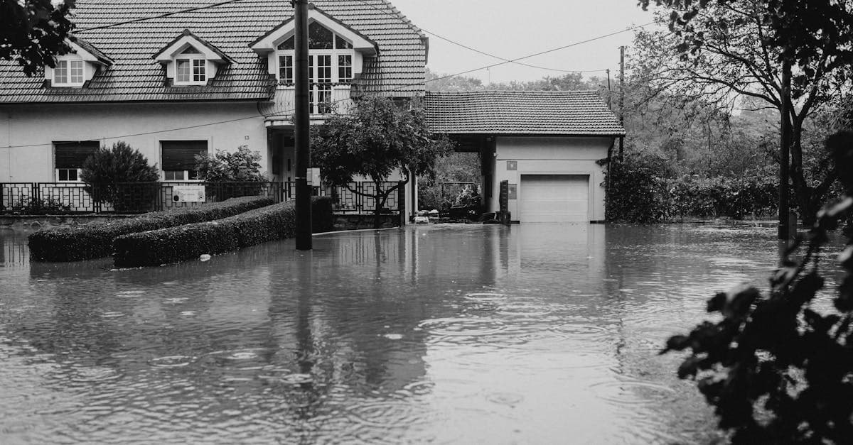 Cover Image for Groundwater Seepage: The Water Damage Your Policy Excludes