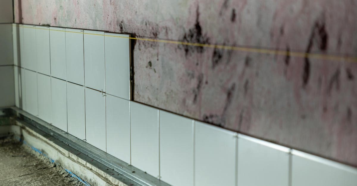 Cover Image for The Mold Exclusion in Your Homeowners Policy Explained