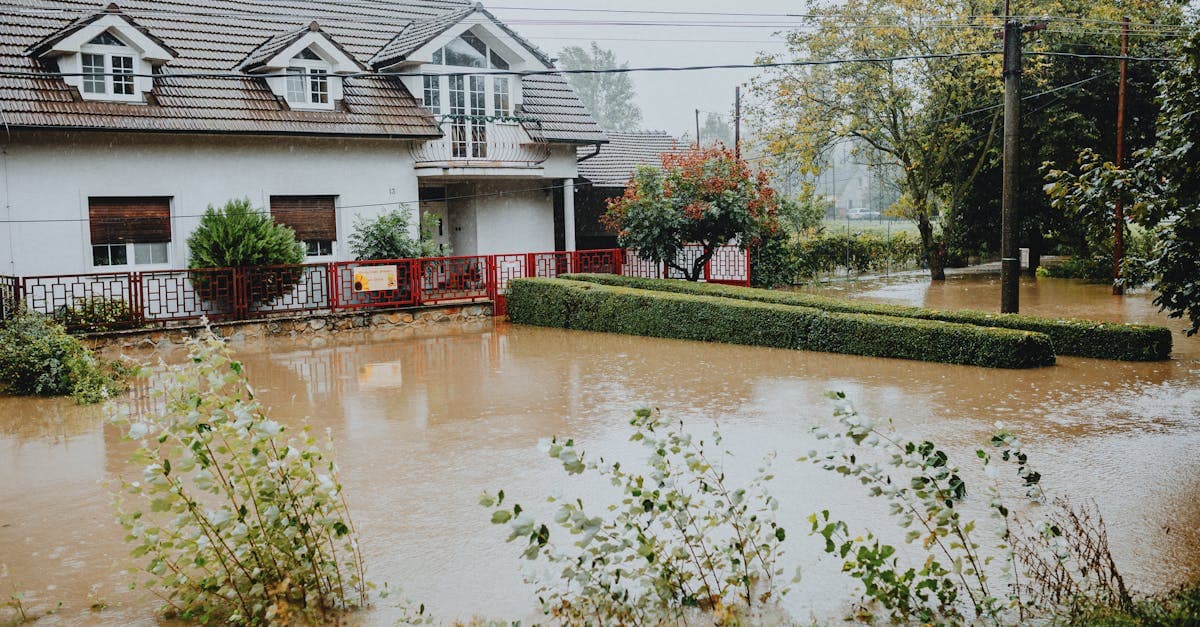 Cover Image for Private Flood Insurance: An Alternative to the NFIP for Homeowners