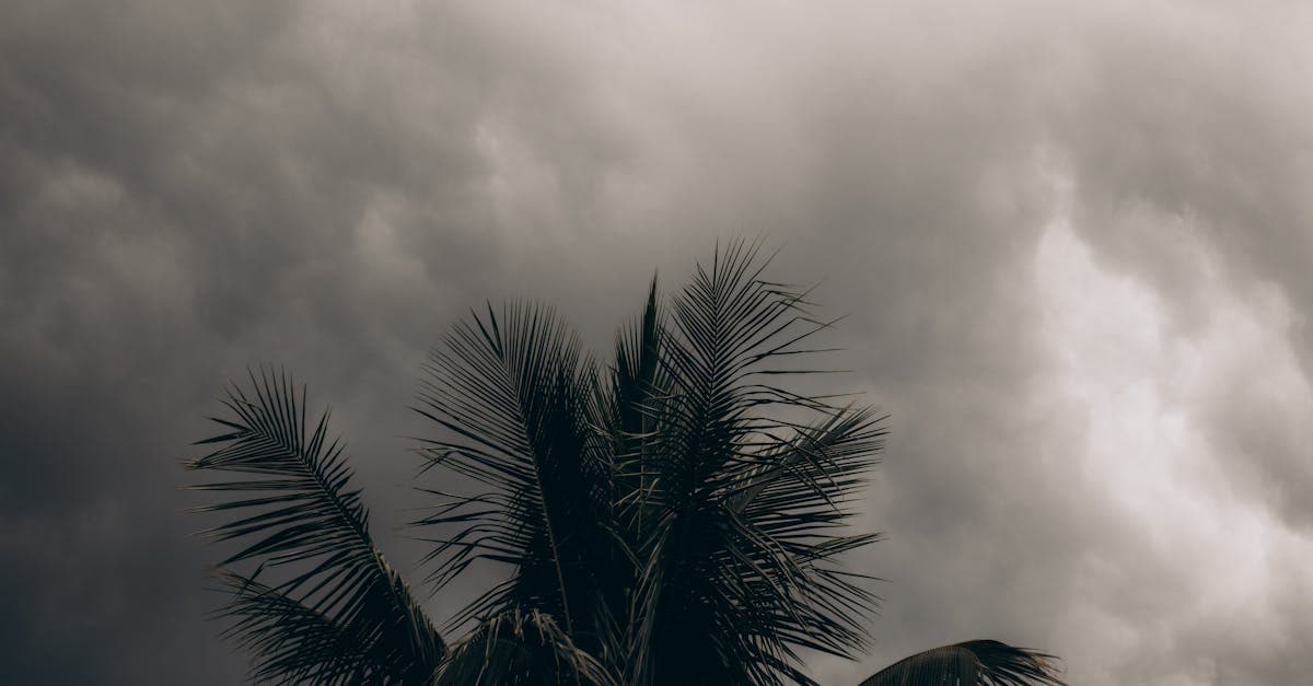 Cover Image for State-by-State Hurricane Deductible Rules: Who Protects Homeowners Best?