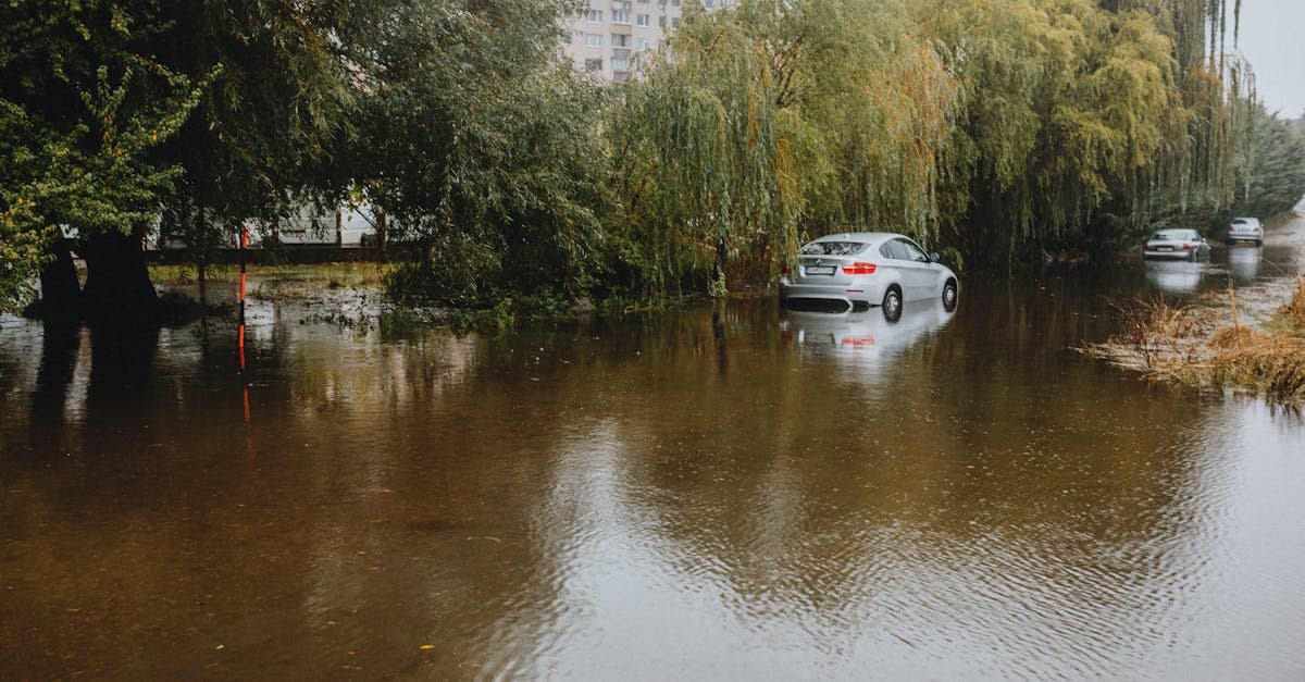 Cover Image for Loss Assessment Coverage: Protecting Condo Owners After a Building Flood