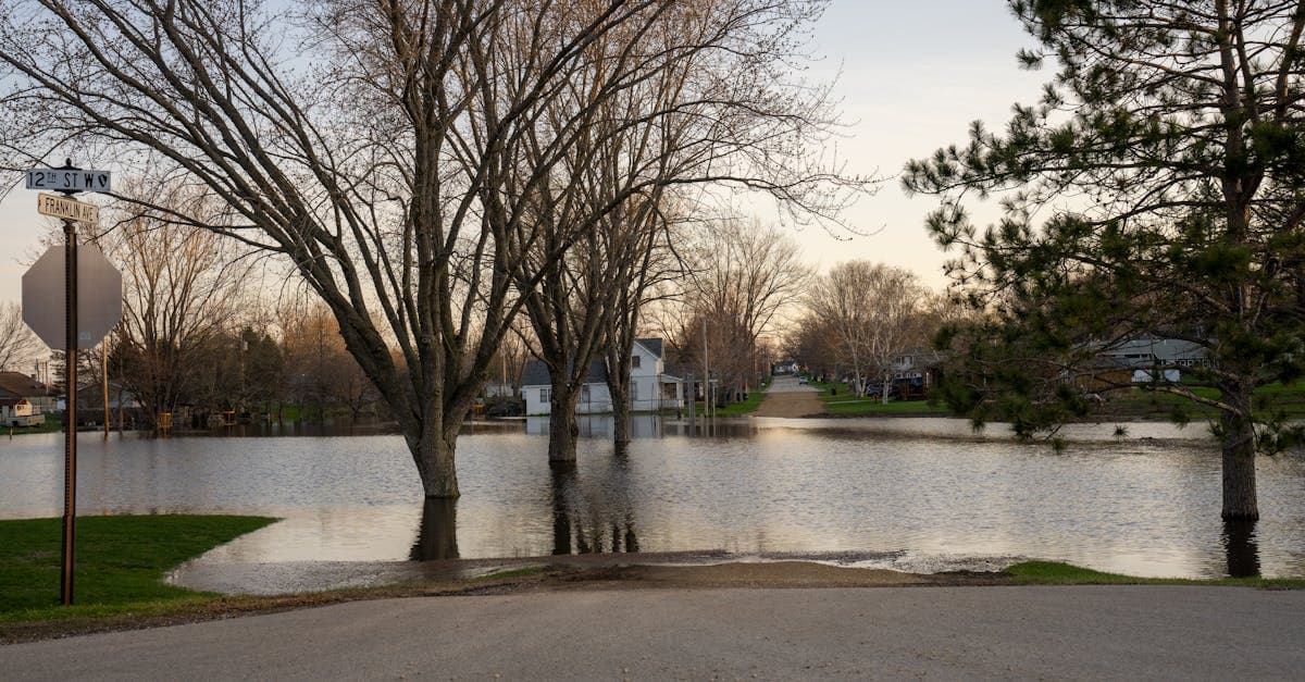 Cover Image for Flood Insurance for Renters: Protecting Your Belongings From Flood Damage