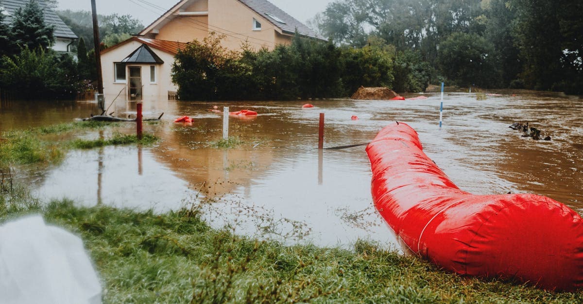Cover Image for Mold and Mildew After Flooding: What Your Flood Insurance Covers and What It Does Not